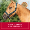 Weaver Leather Basic Adjustable Nylon Halter, Black, 1" Large Horse