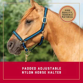 Weaver Leather Basic Adjustable Nylon Halter, Black, 1" Large Horse