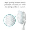 TAO Clean Sonic Electric Toothbrush Replacement Heads (3-Pack) – Replacement