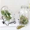Sprouting Jar Kit 16oz Wide Mouth Mason Jars with Stainless