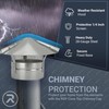 Cone Top Chimney Cap with Screen (9 Inch), Silver