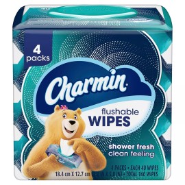 Procter & Gamble Charmin Flushable Wipes, 160 Total Wipes (4 Packs of 40)
