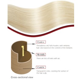 SAFIRENY Clip In Hair Extensions Real Human Hair, Platinum Blonde 18inch 160g 7pcs Real Human Hair for Women (#60-18inch)