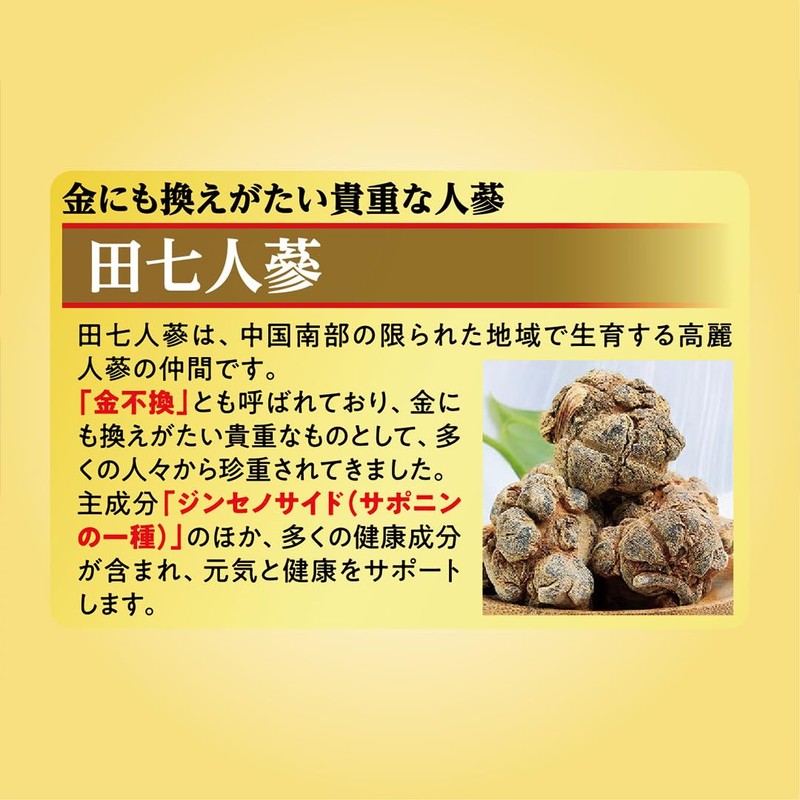 Garlic Ginseng W 1 Bottle, 120 Tablets, Made in Japan