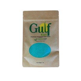 Centipede Grass Seed for a Dense Green Lawn, NO Mulch, 1 lb Coated Seeds, Sun and Moderate Shade Tolerant Lawn Seeding and Turf Patch Repair, Southern Southeast US, Low Fertilizer Low Maintenance