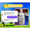 Catt & Co Bright & Free Underarm Serum, 30ml