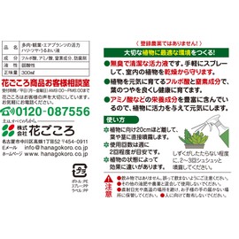 Hanagokoro Succulent & Air Plants Vitality Hari Gloss Moisturizing Liquid, 10.1 fl oz (300 ml)