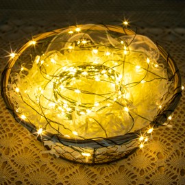PCORES 50M 500LED Fairy Lights Plug in with Remote and Timer, Waterproof Green Copper Wire String Lights Christmas Lights Bedroom Decor, Twinkle Lights for Christmas (Warm White,Adaptor Included)