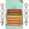 Folkulture Autumn Incense Cones Pumpkin Spice, Vanilla -Set of 6