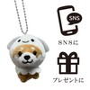 LamPlanning Series - 6 Traveling Mameshiba Key Holder, Mascot, Ball