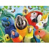 Ceaco - Selfies - Perfect Parrot - 500 Piece Jigsaw