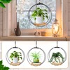 Geelin 4 Pack Plant Hanger with Wood Base Hanging Window