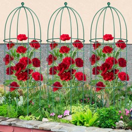 DoCred 6 Pack Plant Support Cage Large Peony Cages and Supports Peony Cage Obelisk Trellis for Climbing Plants Tomato Cages Plant Supports for Outdoor Plants Garden Decor, Green