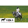 AMKA Soft Saddle Girth Long Strap Black Neoprene Saddle Girth