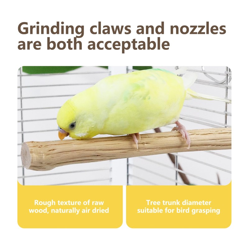 Natural Wood Bird Perch for Cage – Chewing & Claw
