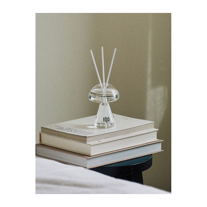 Mushroom object diffuser 3 types (gift wrapped) housewarming gift /