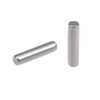 TOP-VIGOR 100Pcs 1.5mm x 6mm Dowel Pins Shelf Support Pegs,