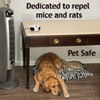 Cleanrth EL300 Elite Mice & Rat Electronic Pest Repeller -