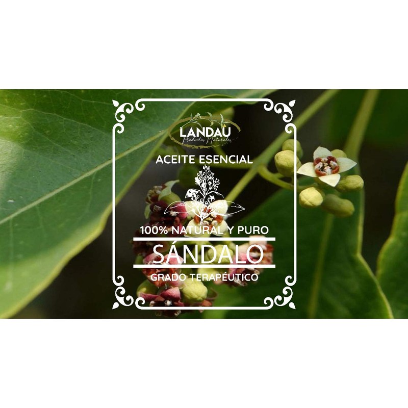 ACEITE ESENCIAL DE SANDALO 15 ML
