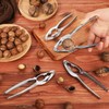 Zhehao 80 Pack Nut Crackers Tool Bulk Crab Crackers and