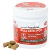Dayspo Fucoidan comprehensive skin and joint nutrition 250g, 5 pcs / 데이스포 후코이단 종합피부장관절 영양제 250g, 5개