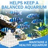 Sukh 3 Bags Ceramic Rings for Aquarium Filter - 425g