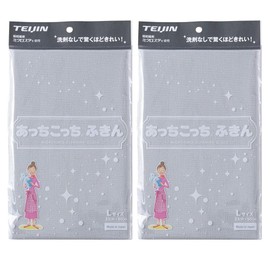 Teijin Achikocchi Dish Towel, Large, Gray, 2 Piece Set, 13.0 x 19.7 inches (33 x 50 cm), Made in Japan, Microfiber