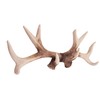 Wowser Rustic Deer Antler Wall Mounted Hook Rack - 14.75