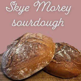 Organic whole wheat 400+ years old sourdough starter dehydrated about 1 ounce Traditional German Natural - Specification: Starter with print out instructions