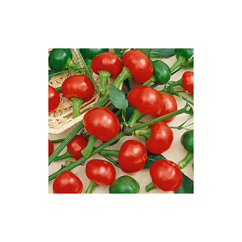 Everwilde Farms - 1/4 Lb Red Cherry Hots Hot Pepper