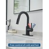 Black Bathroom Sink Faucet with Pull Out Sprayer for Sink