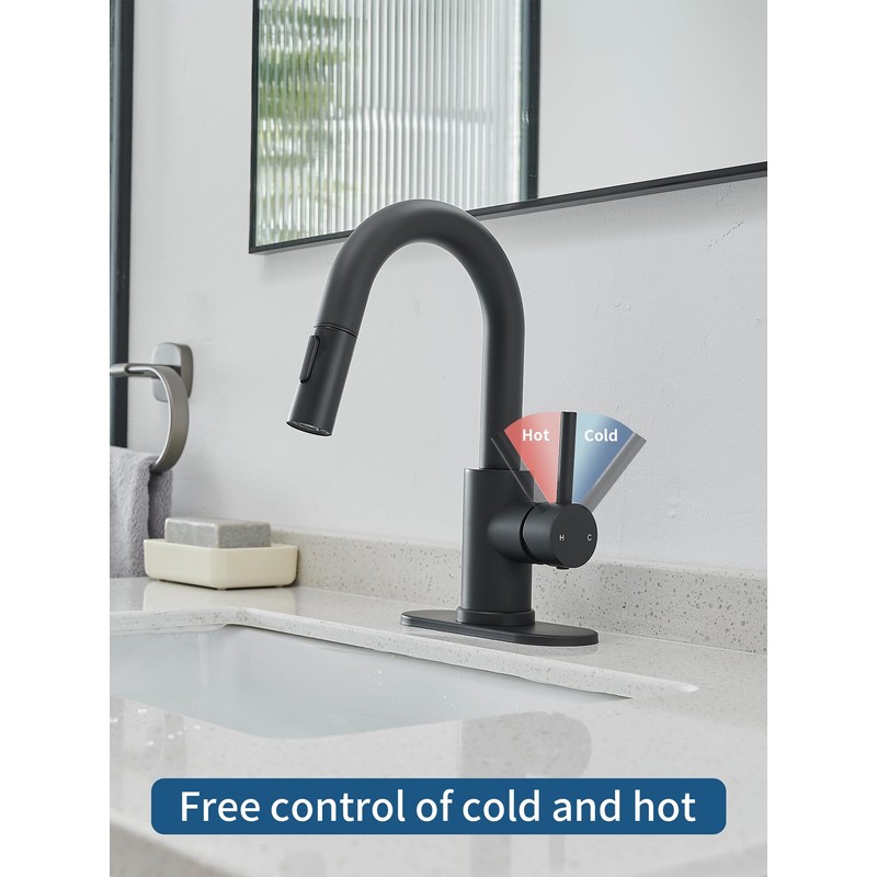 Black Bathroom Sink Faucet with Pull Out Sprayer for Sink