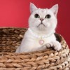 Mxxipp 2pcs Pearl Collar for Cat Puppy, Small Cute Heart