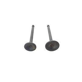 Exhaust Valve Intake Valve Suction EX in 227-33501-03 227-33401-03 for Robin Subaru EY20 5hp Motor Lawnmower Trimmer Engine