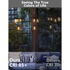 Oviejo 25 Pack Edison Light Bulbs, ST35 Clear Glass Light