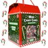 Bulk Individually Wrapped Mini Candy Canes, Classic Christmas Candies, Peppermint