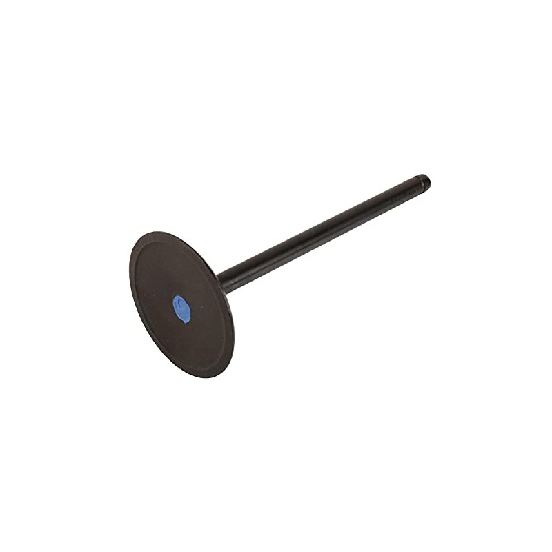 GM Parts Genuine 12629513 Engine Intake Valve