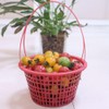 Plastic Berry Baskets 10Pcs Fruit Picking Basket Berry Bucket Quart