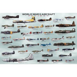 (24x36) World War II Military Aircraft Educational Chart Poster