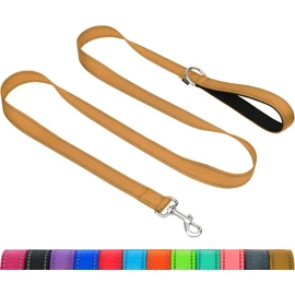 Taglory Dog Leads for Medium Large Dogs | Double Sided Reflective | Soft Neoprene Padded Handle | 2.5 cm Wide by 180 cm Long | Tan