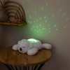 Nattou LED Night Light Koala Bear Starry Sky Projector 3