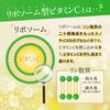 [High Concentration x High Absorption x Sustainable] Next Generation Vitamin