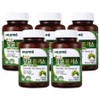 Ginkgo Ginkgo Plus Ginkgo Leaf Extract Blood Circulation Memory Improved Blood Circulation Ginkgo Leaf Triple Ginkgo Plus, 60 Tablets, 5 Pieces / 징코 징코플러스 은행잎추출물 혈액순환 기억력 혈액순환개선 은행잎 트리플징코플러스, 60정, 5개
