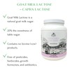 Mt. Capra Goat Milk Lactose | Natural Milk Sugar from