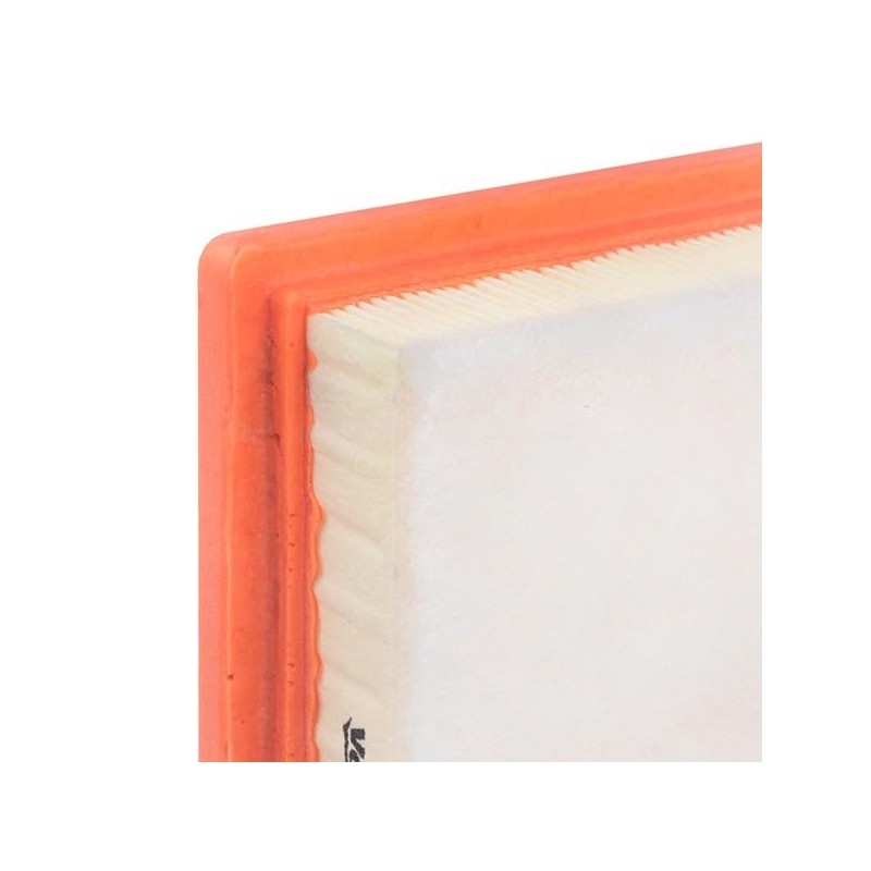 Valeo 585409 Air Filter