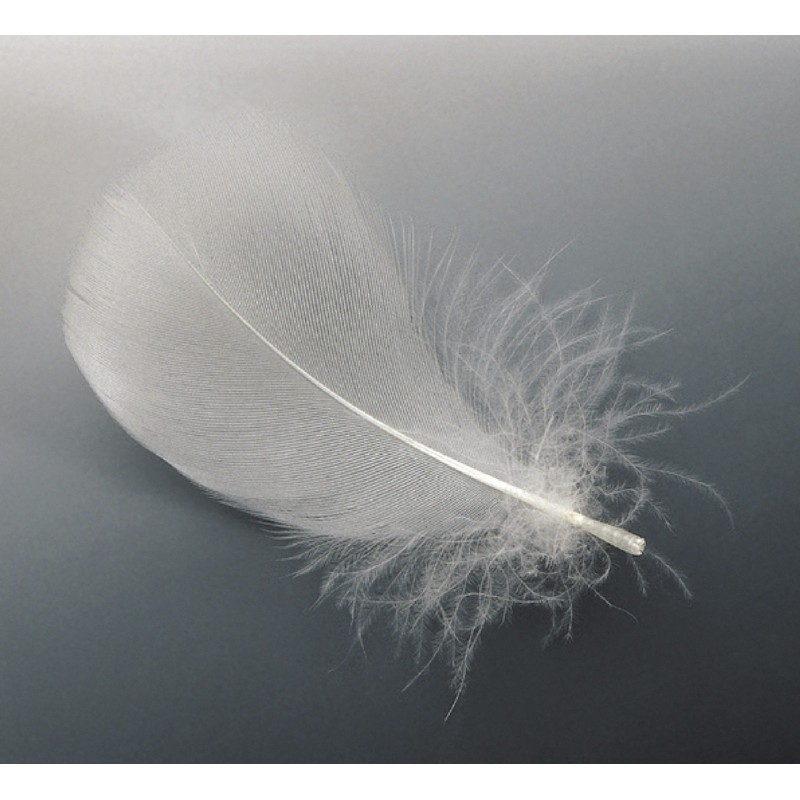 Euroschirm Swing liteflex blue 2018 earbud