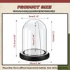 Beeveer 2 Pcs Pocket Watch Glass Display with Hooks Dome