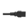 Tripp Lite C20 to C21 Power Cord for 250V Servers,
