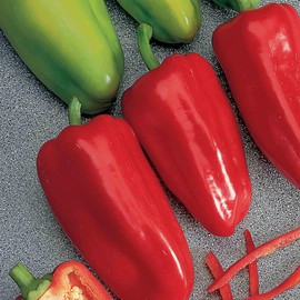 Suttons - Pepper Sweet Seeds - F1 Gypsy