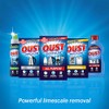 Oust All Purpose Descaler - 3 Sachets for Appliance Care
